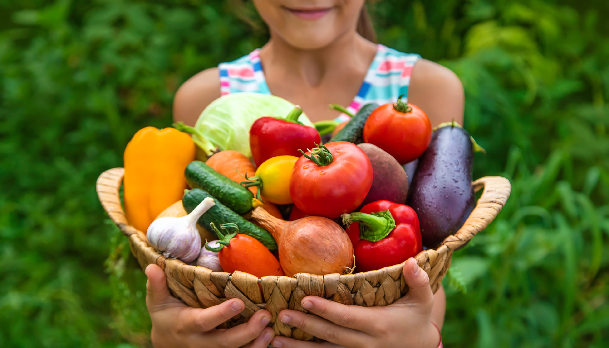 The child holds vegetables in his hands in the garden. Selective focus.